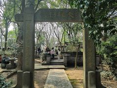 -上海佘山国家森林公园天马山园