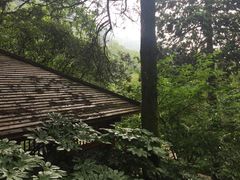 -黄山温泉国际旅游度假区