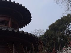-宝通禅寺