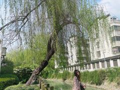 -钟书阁