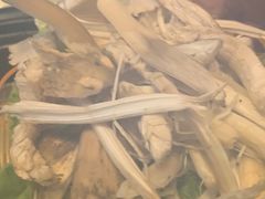 -易门野生菌府·菌海森林(月牙潭公园店)