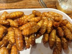-柿子树炭烤羊腿(金台路店)