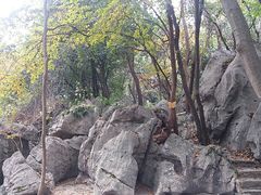 -玉女潭景区