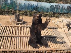 -济南野生动物世界