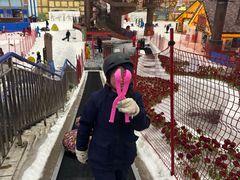 -广州热雪奇迹