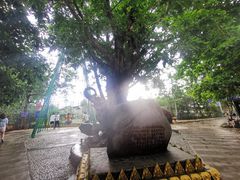 -一寨两国风景区