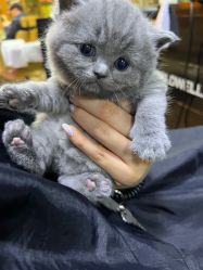 -青木造型HAIR·あおき髪を刈る潮人店