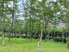 -宜春禅都文化博览园