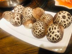 -亮欢寨酸汤鱼(沙冲路店)