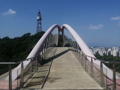-金鸡山公园