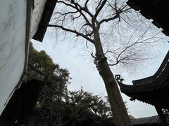 -惠山古镇·寄畅园