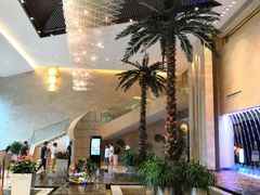 -常州环球恐龙城维景国际大酒店