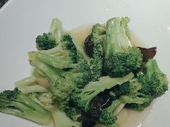 -鲁菜根·泰安菜(万达店)