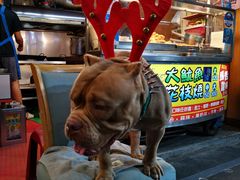 -花莲东大门国际观光夜市