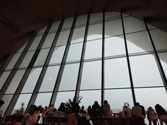 -抱抱地球咖啡馆(国家海洋博物馆店)