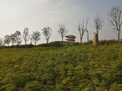 -光明小镇欢乐田园