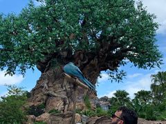 -奥兰多迪士尼动物王国乐园