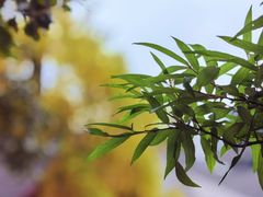 -金堂县云顶石城风景区