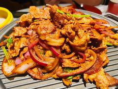 -大鸭梨烤鸭店(花园村店)