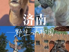 -济南野生动物世界
