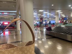 -厦门高崎国际机场-T3航站楼