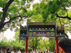 -北京国子监胡同