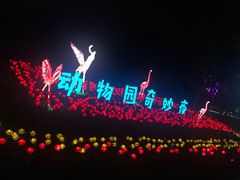 -野生动物园-停车场