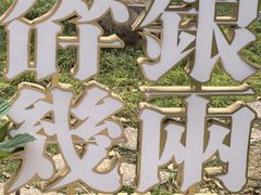 -长田漾湿地公园