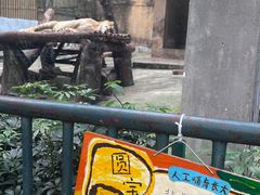 -柳州市动物园
