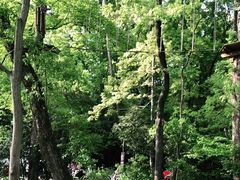 -WeLope紫金山探险公园