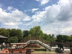 -中国扬子鳄村