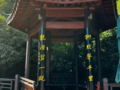 -十八棵（老龙井）御茶园(老龙井店)