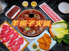 羊蝎子火锅-城南老友羊蝎子火锅(花乡奥莱店)