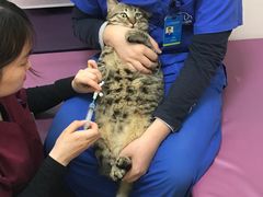 -芭比堂动物医院·犬猫全科·异宠专科(雁塔分院)