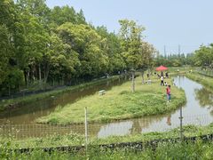 -上海长兴岛郊野公园