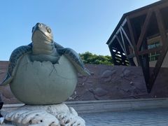 -广东惠东海龟国家级自然保护区