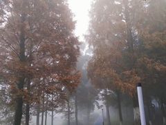 -四川大学(江安校区)