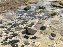 -贝壳沙滩