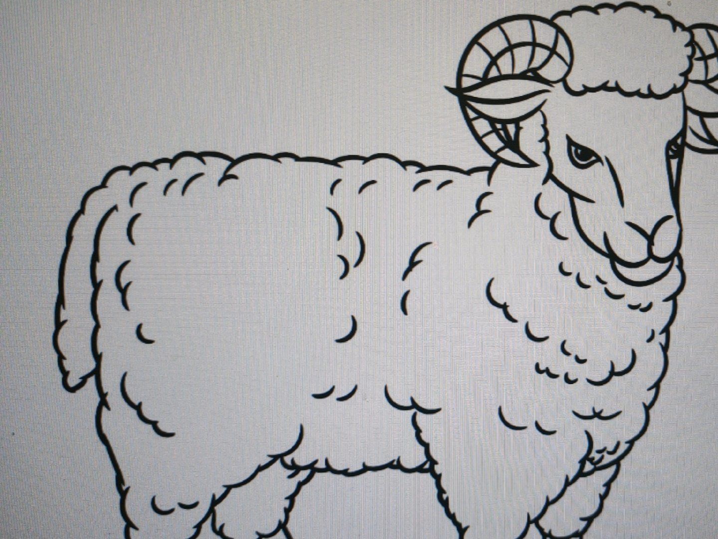 必吃榜送你一只羊一起来画羊!这个羊