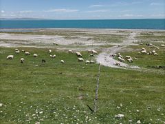 -青海湖国家重点风景名胜区