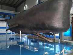 -上海海洋大学鱼文化博物馆(军工路校区)