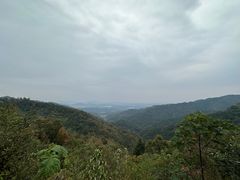 -素山寺森林公园