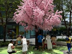 -东莞松山湖万象汇