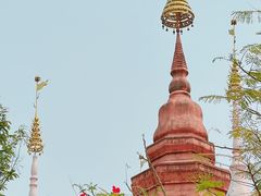 -曼听御花园