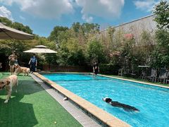 -汪说喵讲宠物乐园宠物酒店(红星美凯龙店)