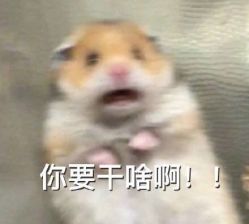 -CIT造型·烫发·染发