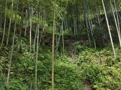 -五龙源极限漂流