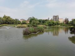 -大旗头古村