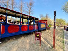 -永定河休闲森林公园