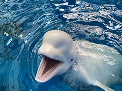 -石林冰雪海洋世界